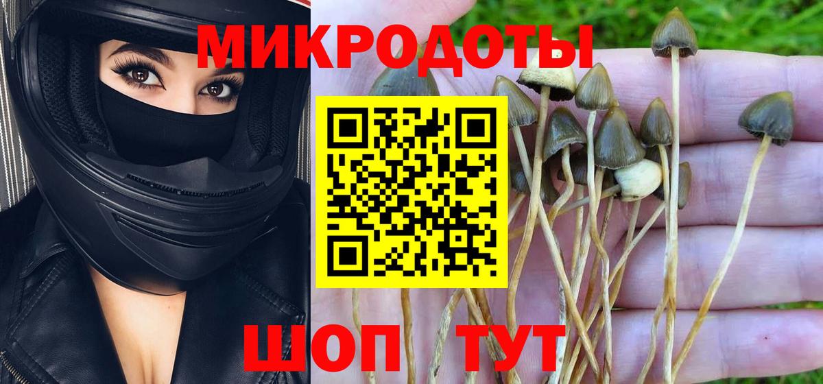 Галлюциногенные грибы прущие грибы Дзержинский